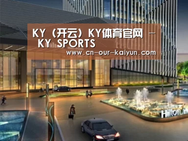 案例展示二(图1)