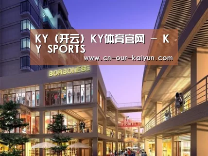 案例展示一
