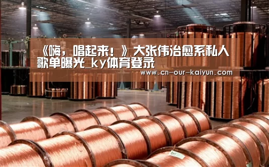 《嗨,唱起来!》大张伟治愈系私人歌单曝光_ky体育登录(图1) ky体育app